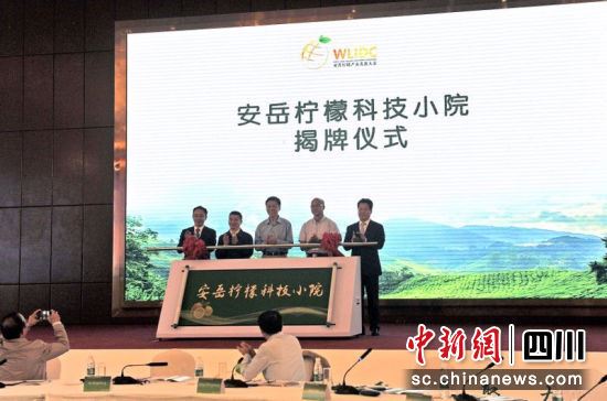 十国专家走进“中国柠檬之都” 分享绿色柠檬种植技术