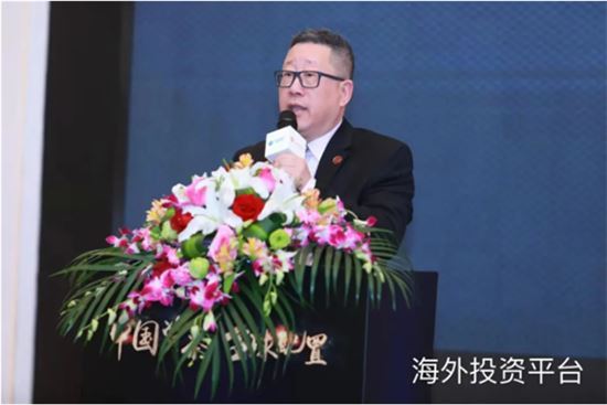 在逆境中顺势而为--2020一带一路中国企业全球化论坛暨海外投资峰会圆满落幕
