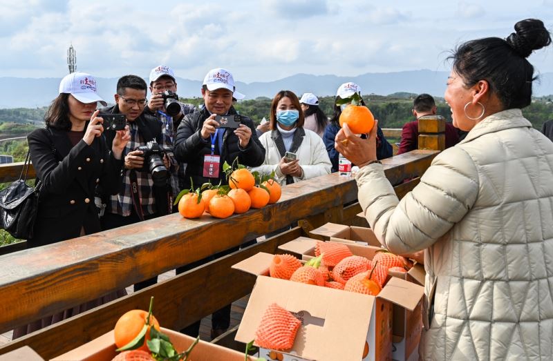 行走中国·2023海外华文媒体高层川渝行将于4月10日启动