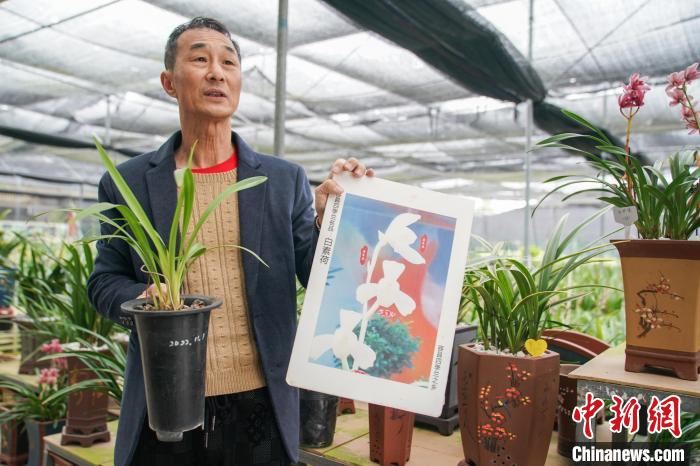 台商大陆掘金“赏花经济”