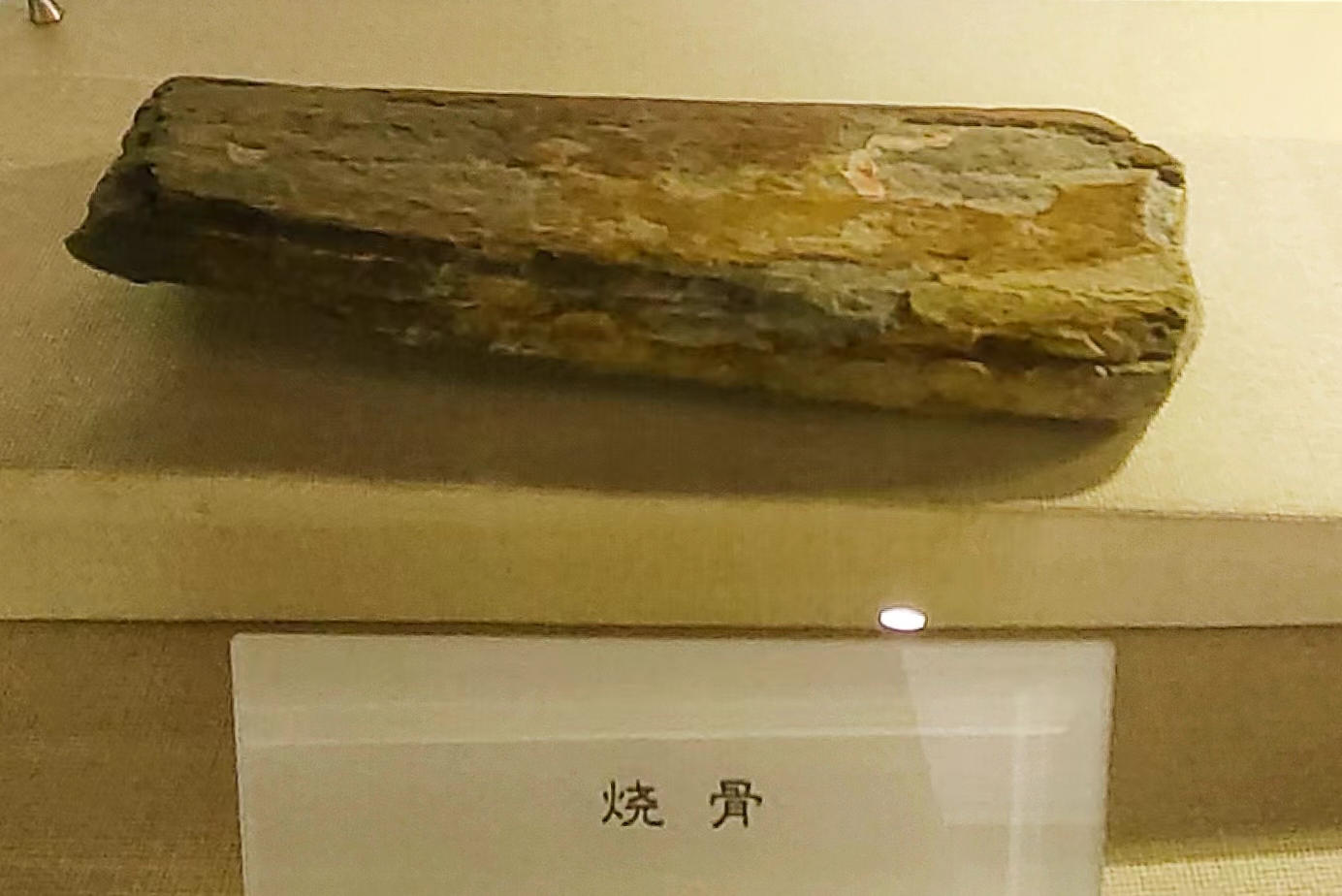 西侯度遗址：感受中国第一堆文明之火