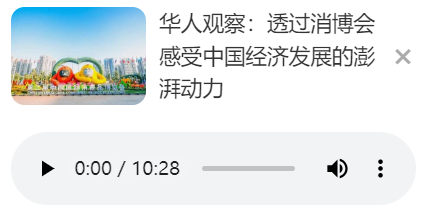 华人观察：透过消博会感受中国经济发展的澎湃动力