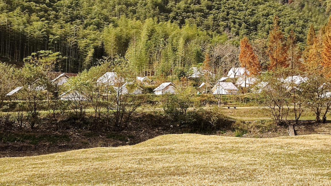 夏阳村变形记：垃圾坑塘变身“安吉小瑞士”，年轻班子书写“两山”新篇