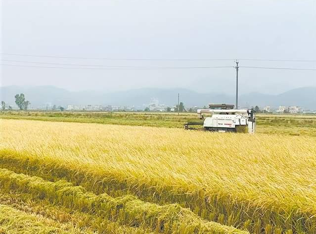 江门实现进口生鲜“口岸直达”