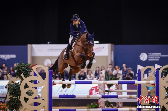 香港骑手逐梦浪琴香港国际马术盛典 与赛驹共同成长