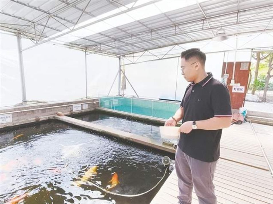 江门观赏鱼首次“游”向欧盟 政企同心打通海外市场通道