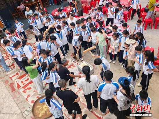 贵州石阡：小学生稻田里上劳动课迎丰收