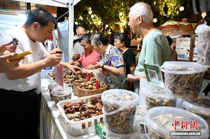 六盘山好物入闽 宁夏隆德农文旅推介招商活动福州启幕